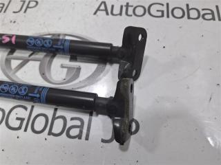 Амортизатор багажника Chevrolet Aveo T300 F16D4 95152165 5 ракурс