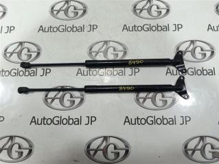 Амортизатор багажника Volkswagen Tiguan 5N CTHD 5N0827550A 1 ракурс