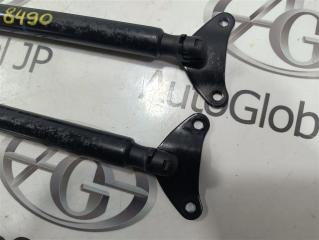 Амортизатор багажника Volkswagen Tiguan 5N CTHD 5N0827550A 2 ракурс