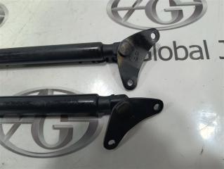 Амортизатор багажника Volkswagen Tiguan 5N CTHD 5N0827550A 5 ракурс