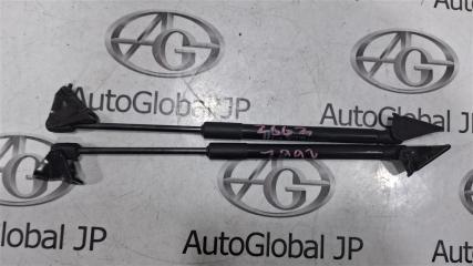 Амортизатор багажника NISSAN LEAF ZE0 EM61 904503NA0A 1 ракурс