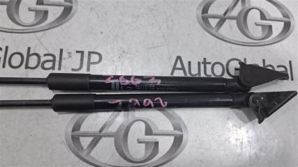 Амортизатор багажника NISSAN LEAF ZE0 EM61 904503NA0A 3 ракурс