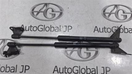 Амортизатор багажника NISSAN LEAF ZE0 EM61 904503NA0A 4 ракурс