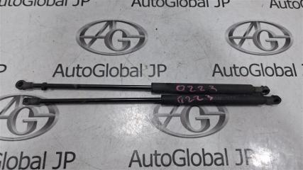 Амортизатор капота  NISSAN TEANA PJ31 VQ35DE ,654709Y000 1 ракурс