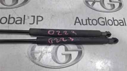 Амортизатор капота NISSAN TEANA PJ31 VQ35DE 654709Y000 3 ракурс