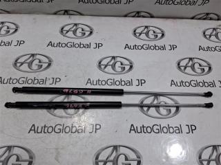 Амортизатор багажника Peugeot 207 WB EP6 8731N6 1 ракурс