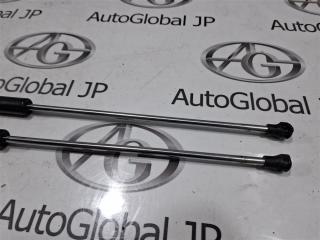 Амортизатор багажника Peugeot 207 WB EP6 8731N6 4 ракурс