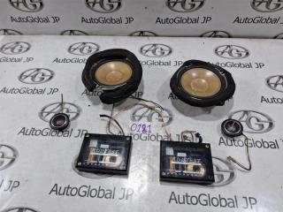 Динамик NISSAN SAFARI WTY61 ZD30DDTI - 1 ракурс
