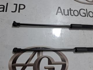 Амортизатор капота LEXUS nx200 ZGZ10 3ZRFAE 534400W280 1 ракурс