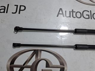 Амортизатор капота LEXUS nx200 ZGZ10 3ZRFAE 534400W280 4 ракурс