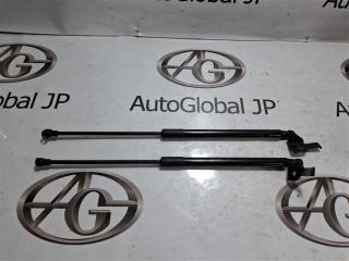 Амортизатор капота LEXUS nx200 ZGZ10 3ZRFAE 534400W280 5 ракурс