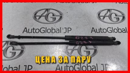 Амортизатор капота NISSAN TEANA PJ31 VQ35DE 654709Y000 5 ракурс