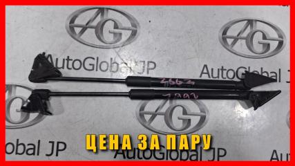 Амортизатор багажника NISSAN LEAF ZE0 EM61 904503NA0A 5 ракурс