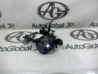 Туманка правая передняя NISSAN TEANA PJ32 VQ35 - 1 ракурс