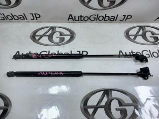 Амортизатор капота LEXUS RX450H GYL15W 2GRFXE 534400W200 1 ракурс