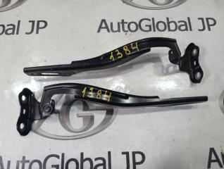 Петля капота HONDA INSIGHT ZE2 LDA 60120TM8A00ZZ 1 ракурс