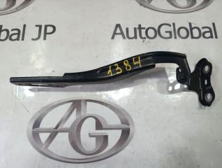 Петля капота HONDA INSIGHT ZE2 LDA 60120TM8A00ZZ 2 ракурс