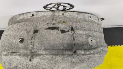 Подкрылок левый задний BMW X6 E71 N55B30A 51717248211 5 ракурс
