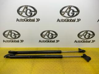 Амортизатор багажника NISSAN SERENA GFC27 MR20DD 904515TA0A 1 ракурс