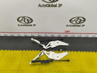 Петля капота BMW X6 E71 N55B30A 41007198617 1 ракурс