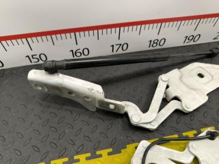 Петля капота BMW X6 E71 N55B30A 41007198617 2 ракурс