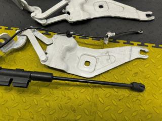 Петля капота BMW X6 E71 N55B30A 41007198617 4 ракурс
