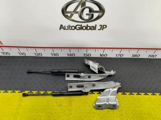 Запчасть Петля капота  AUDI Q5 8R0823301A,8R0823302A Контрактный Год: 2013  Цвет: P5/X7W   За пару!
Снята с контрактного авто, без пробега по России.