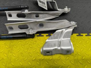 Петля капота AUDI Q5 8R CTVA 8R0823301A 2 ракурс