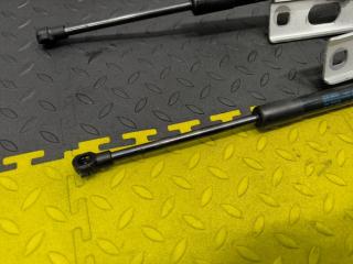 Петля капота AUDI Q5 8R CTVA 8R0823301A 4 ракурс