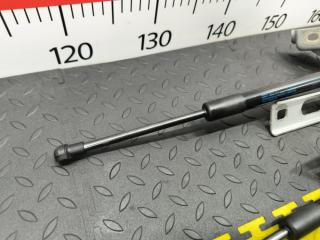 Петля капота AUDI Q5 8R CTVA 8R0823301A 5 ракурс