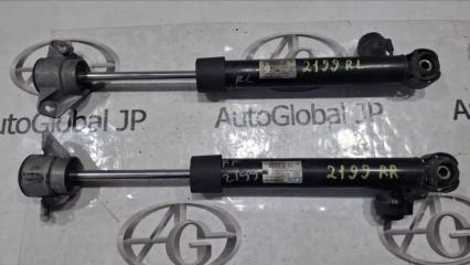 Амортизатор задний AUDI S5 8F CAKA 8F0513025 1 ракурс