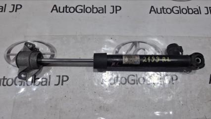 Амортизатор задний AUDI S5 8F CAKA 8F0513025 2 ракурс