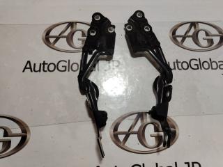Петля капота BMW X3 F25 N47D20C 41617262875 1 ракурс