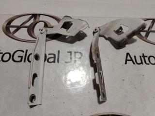 Петля капота AUDI S5 8F CAKA 8T0823301E 3 ракурс