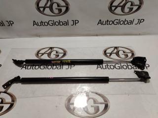 Амортизатор багажника NISSAN SERENA GFNC27 MR20DD 904515TA0A 1 ракурс Амортизатор багажника NISSAN SERENA GFNC27 MR20DD 904515TA0A 1 ракурс