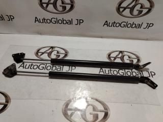 Амортизатор багажника NISSAN SERENA GFNC27 MR20DD 904515TA0A 4 ракурс
