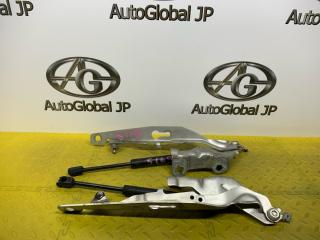 Петля капота Volvo XC70 BZ B6324S 3.2 31385810 1 ракурс