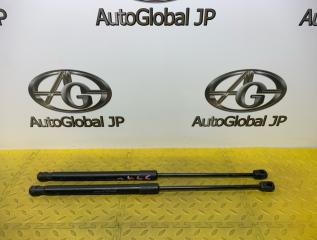 Амортизатор капота Jaguar XE X760 AJ200 GX7316C826AB 1 ракурс