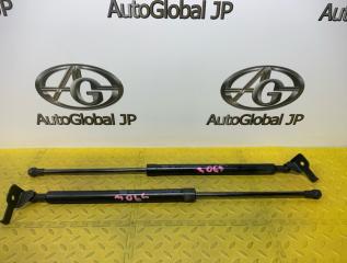 Амортизатор капота TOYOTA SAI AZK10 2AZFXE 5344075010 1 ракурс