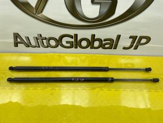 Амортизатор багажника Jeep Grand Cherokee WK2 ERB 3.6 55113632AB 1 ракурс