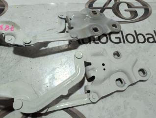 Петля капота BMW X4 F26 N20B20A 41617262876 4 ракурс
