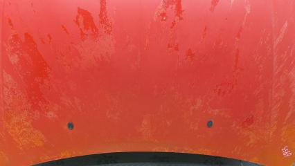 Капот Citroen C4 LC EW10J4S 7901L1 4 ракурс