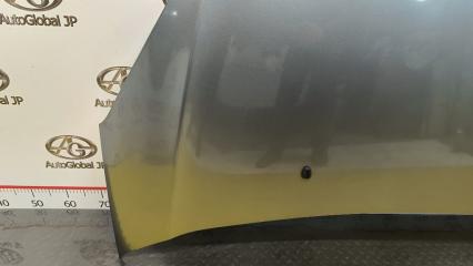 Капот Citroen DS3 EP6C 1.6 VTi 5F01 7901R1 5 ракурс