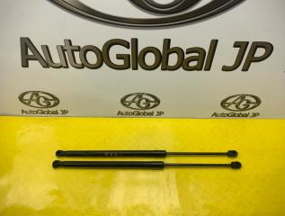 Амортизатор капота Volkswagen Touareg 7L AXQ 7L6823359B 1 ракурс