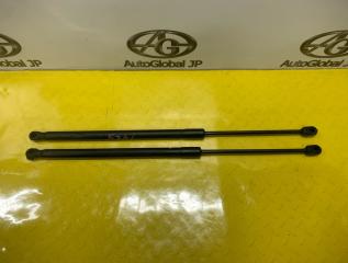 Амортизатор капота Volkswagen Touareg 7L AXQ 7L6823359B 2 ракурс