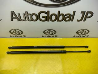 Амортизатор багажника Jeep Grand Cherokee WK2 ERB 3.6 68083884AA 1 ракурс
