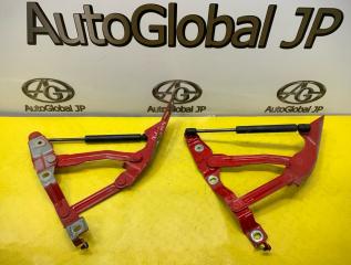 Петля капота AUDI TT 8N AUQ 8N0823301 1 ракурс