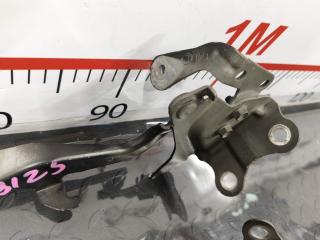 Петля капота LEXUS RX270 AGL10 1ARFE 5342048090 3 ракурс Петля капота LEXUS RX270 AGL10 1ARFE 5342048090 3 ракурс
