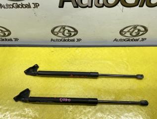 Амортизатор двери HYUNDAI Santa fe DM G4KJ 81781A1000 1 ракурс Амортизатор двери HYUNDAI Santa fe DM G4KJ 81781A1000 1 ракурс