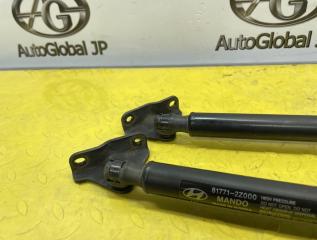Амортизатор двери HYUNDAI Santa fe DM G4KJ 81781A1000 3 ракурс Амортизатор двери HYUNDAI Santa fe DM G4KJ 81781A1000 3 ракурс